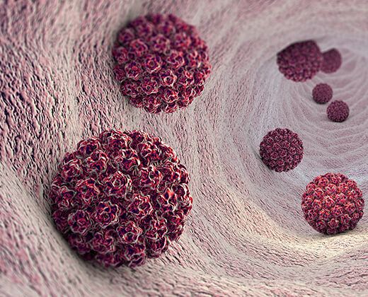 HPV Viren in schematischer Darstellung