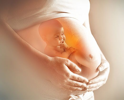 Baby im Bauch der Mutter