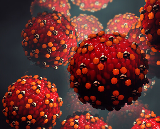 Geschlechtskrankheiten Guide Herpes Genitalis Frauenarztinnen Strohlein Pflanz